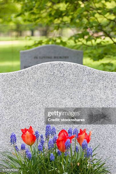 die gravestone im frühling - grabstein stock-fotos und bilder