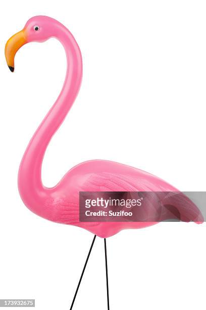 pink flamingo (xxxl) - flamingos stock pictures, royalty-free photos & images