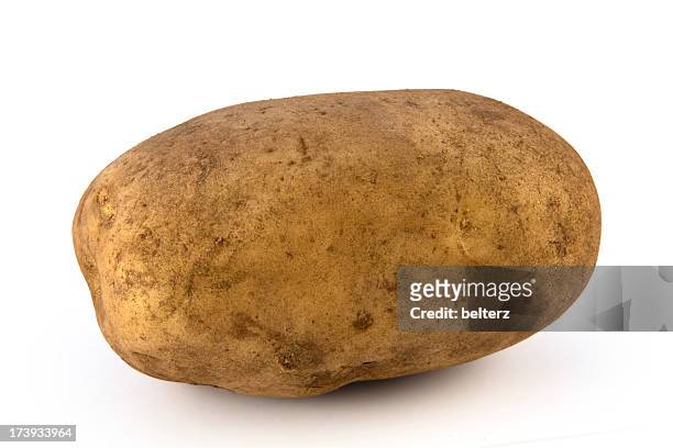 potato - raw potato stock pictures, royalty-free photos & images