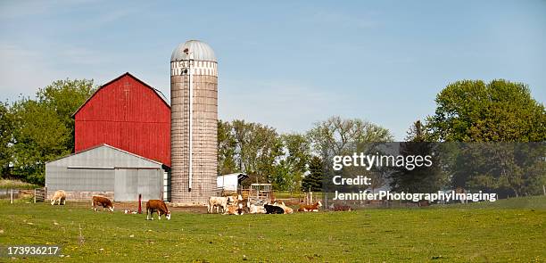 Wisconsin Ranch Cows Wisconsin Cows Photos and Premium High Res Pictures - Getty Images