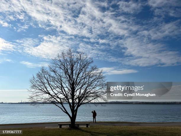 man standing beneath tree at baltimore harbor. fort mchenry. - baltimore maryland landscape stock pictures, royalty-free photos & images
