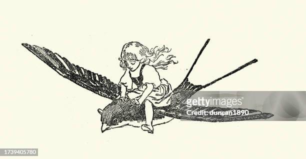 little girl flying on the back of a swift, bird, fairy tale, fantasy, victorian children's book illustration, 19th century - 3 year old stock illustrations