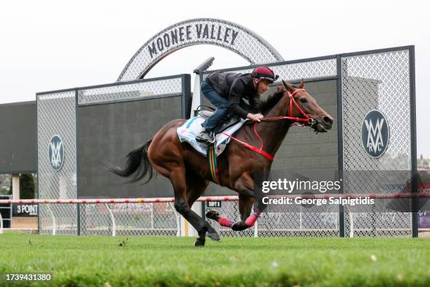 James McDonald on board Romantic Warrior during trackwork at Moonee Valley Racecourse on October 23, 2023 in Moonee Ponds, Australia.