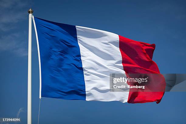 french flag - french flag bildbanksfoton och bilder