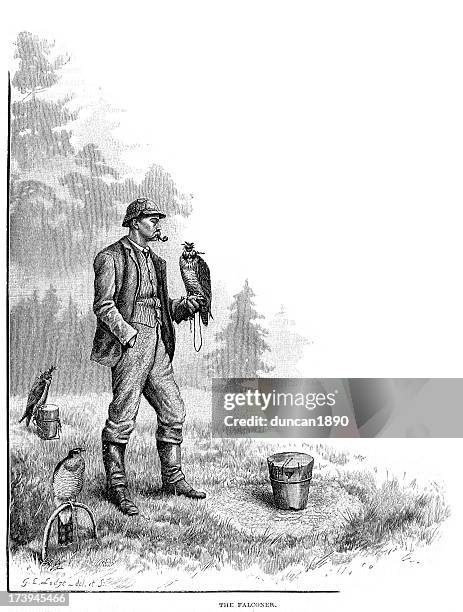 stockillustraties, clipart, cartoons en iconen met victorian falconer and hawk - falconry