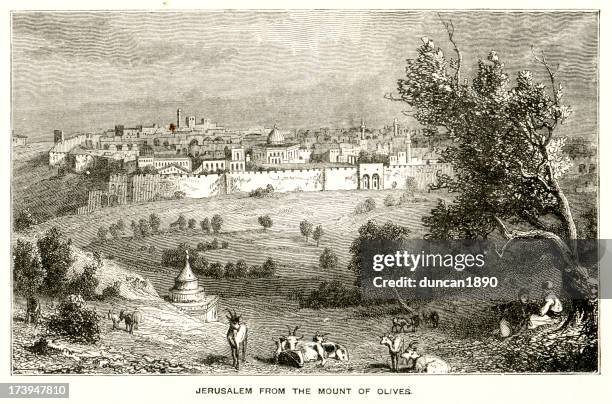 jerusalem from the mount of olives - ancient jerusalem stock illustrations