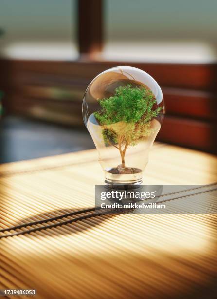 light bulb with a tree inside represents a commitment to a sustainable future - support concept stock pictures, royalty-free photos & images