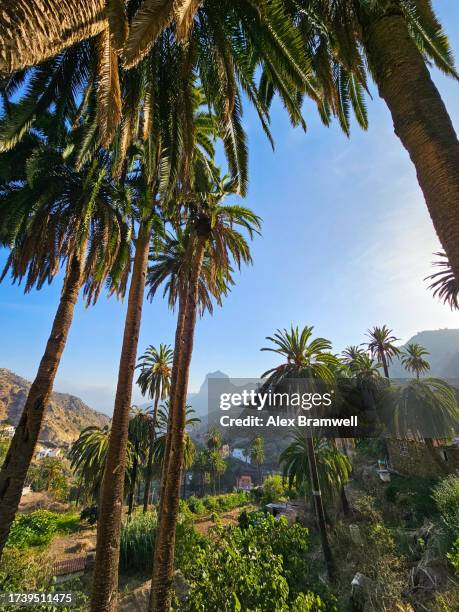 macayo village in la gomera - gomera canary islands stock pictures, royalty-free photos & images