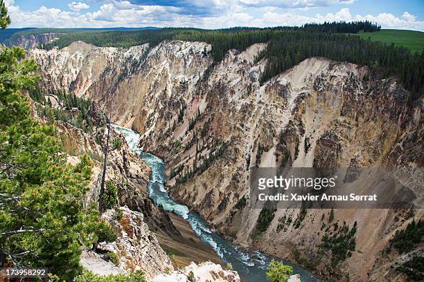 grand canyon of the yellowstone - yellowstone river stock pictures, royalty-free photos & images