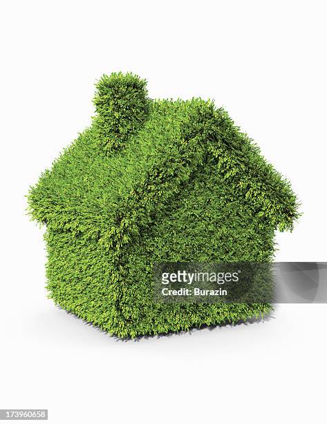 house shaped boxwood  topiary - boxwood stock pictures, royalty-free photos & images