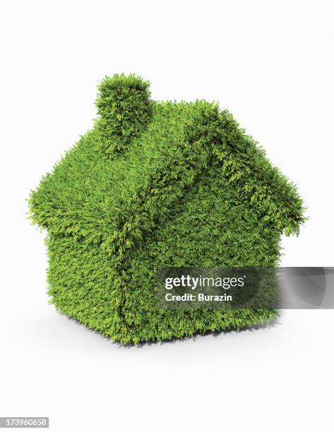 house shaped boxwood  topiary - topiary - fotografias e filmes do acervo