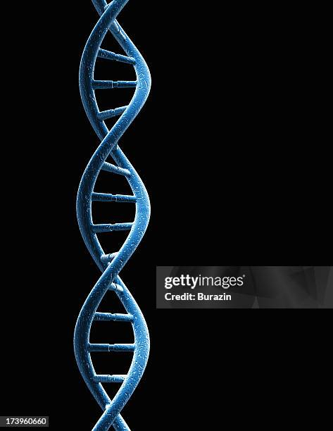 dna strand - dna stockfoto's en -beelden