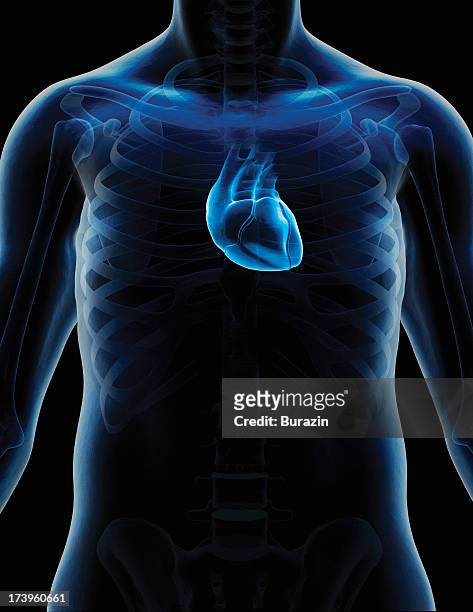 human heart digital composite - rib cage stock-fotos und bilder