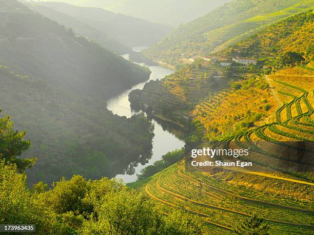 portugal, douro, terraced vineyards - vallée photos et images de collection