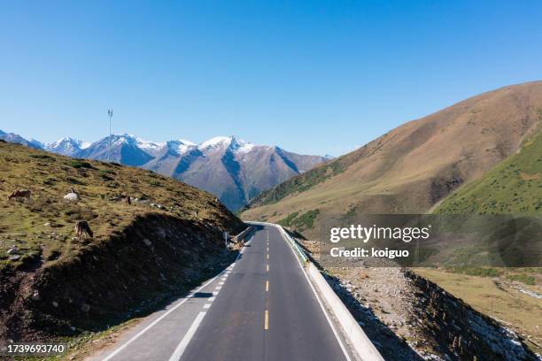 asphalt road at the foot of snow mountain - nationale snelweg stockfoto's en -beelden