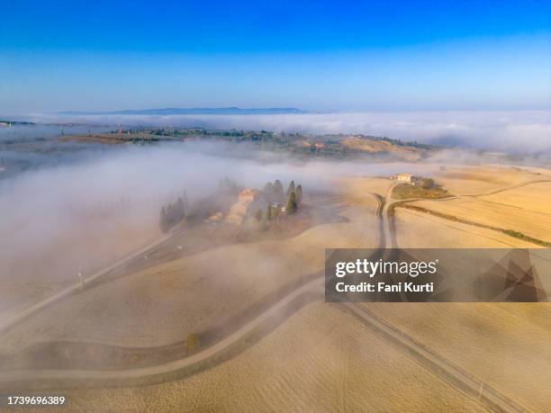 foggy landscape in val d'orcia, tuscany - cypress tree illustration stock pictures, royalty-free photos & images