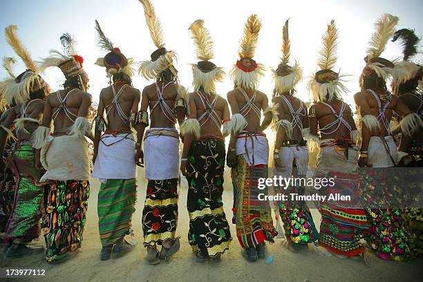 wodaabe tribal men dance with feather headdresses - gerewol courtship ritual competition stock pictures, royalty-free photos & images