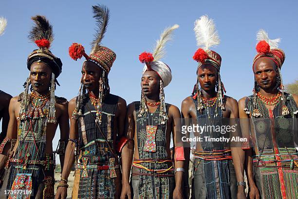 feather plumes at wodaabe gerewol courtship ritual - gerewol courtship ritual competition stock pictures, royalty-free photos & images