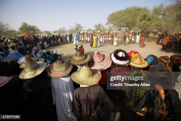 crowd watches gerewol courtship ritual competition - gerewol courtship ritual competition stock pictures, royalty-free photos & images