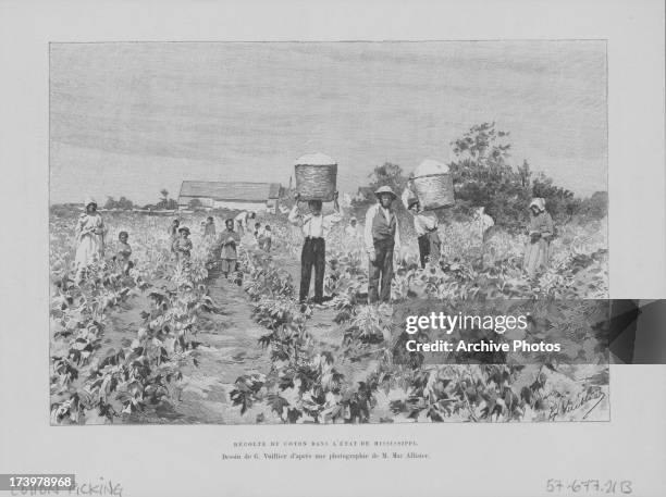 Engraving depicting African American enslaved workers picking cotton from the fields of a plantation, USA, circa 1830-1880.