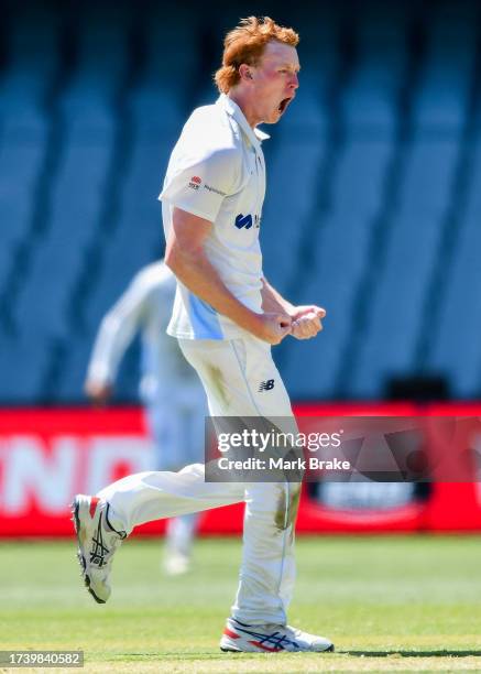 Jack Nisbet of the Blues bowls during the Sheffield Shield match between South Australia and New South Wales at Adelaide Oval, on October 17 in...