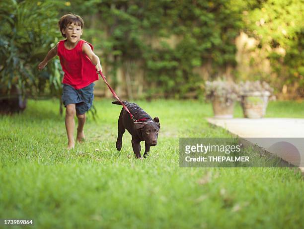 kind läuft mit seinem hund - boy running with dog stock-fotos und bilder