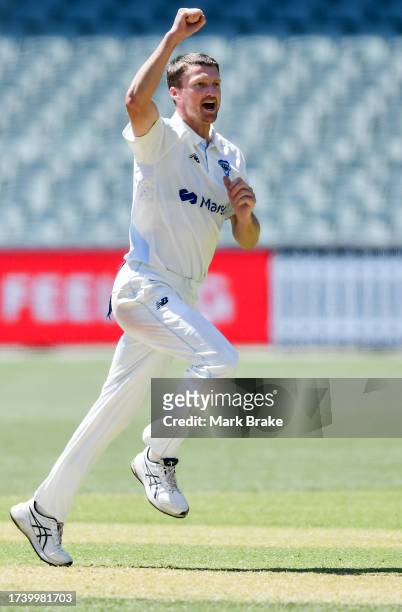 Jackson Bird of there Blues celebrates the wicket of Harry Nielsen of the Redbacks during the Sheffield Shield match between South Australia and New...