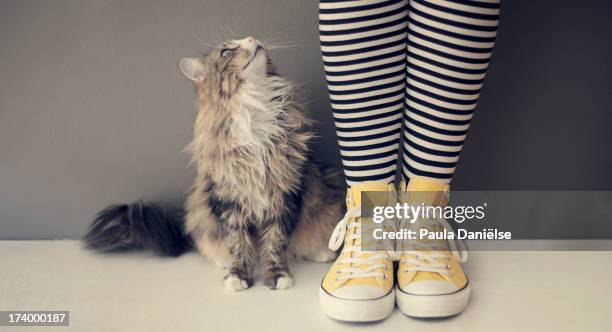 good talk - striped pants stock pictures, royalty-free photos & images