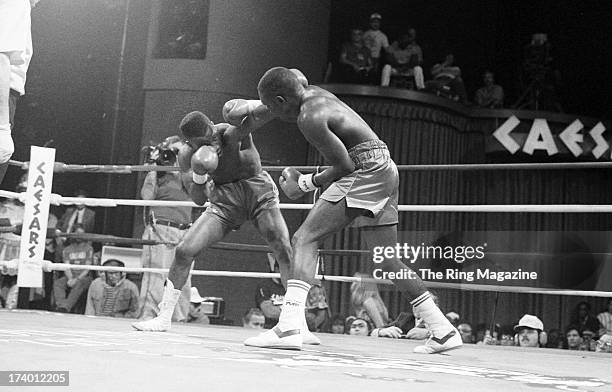 27 Wangila Stock Photos, HighRes Pictures, and Images Getty Images