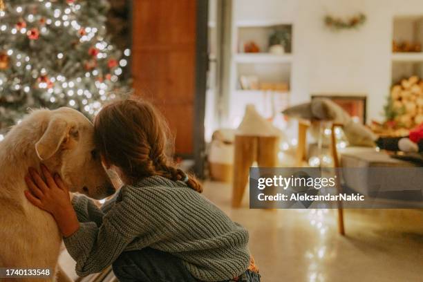 a girl and her dog on christmas eve - hug christmas stock pictures, royalty-free photos & images
