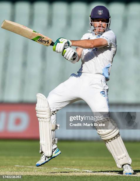 Daniel Hughes of the Blues bats during the Sheffield Shield match between South Australia and New South Wales at Adelaide Oval, on October 17 in...