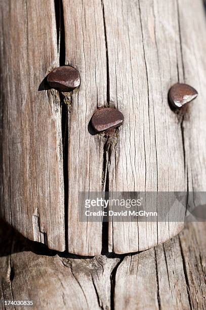 close-up of nails in wooden joint - adirondack chair closeup stock pictures, royalty-free photos & images