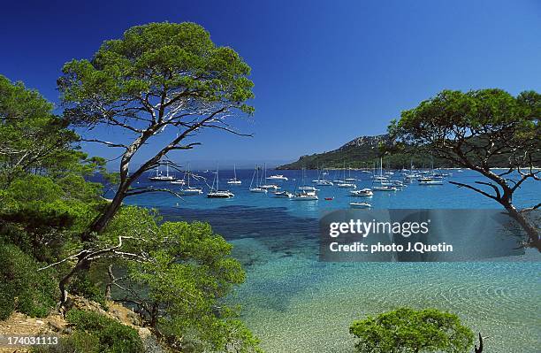 blue paradise - porquerolles - porquerolles stock pictures, royalty-free photos & images