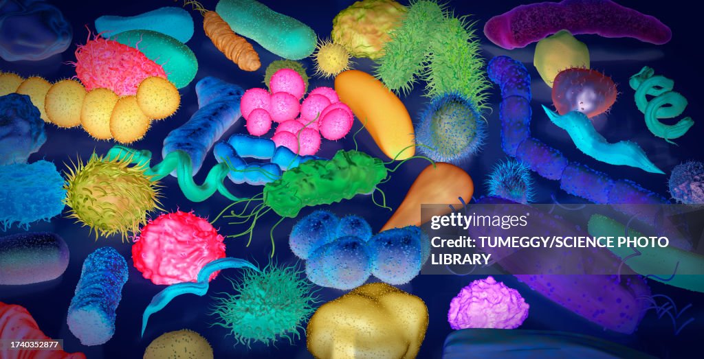 Various bacteria, illustration