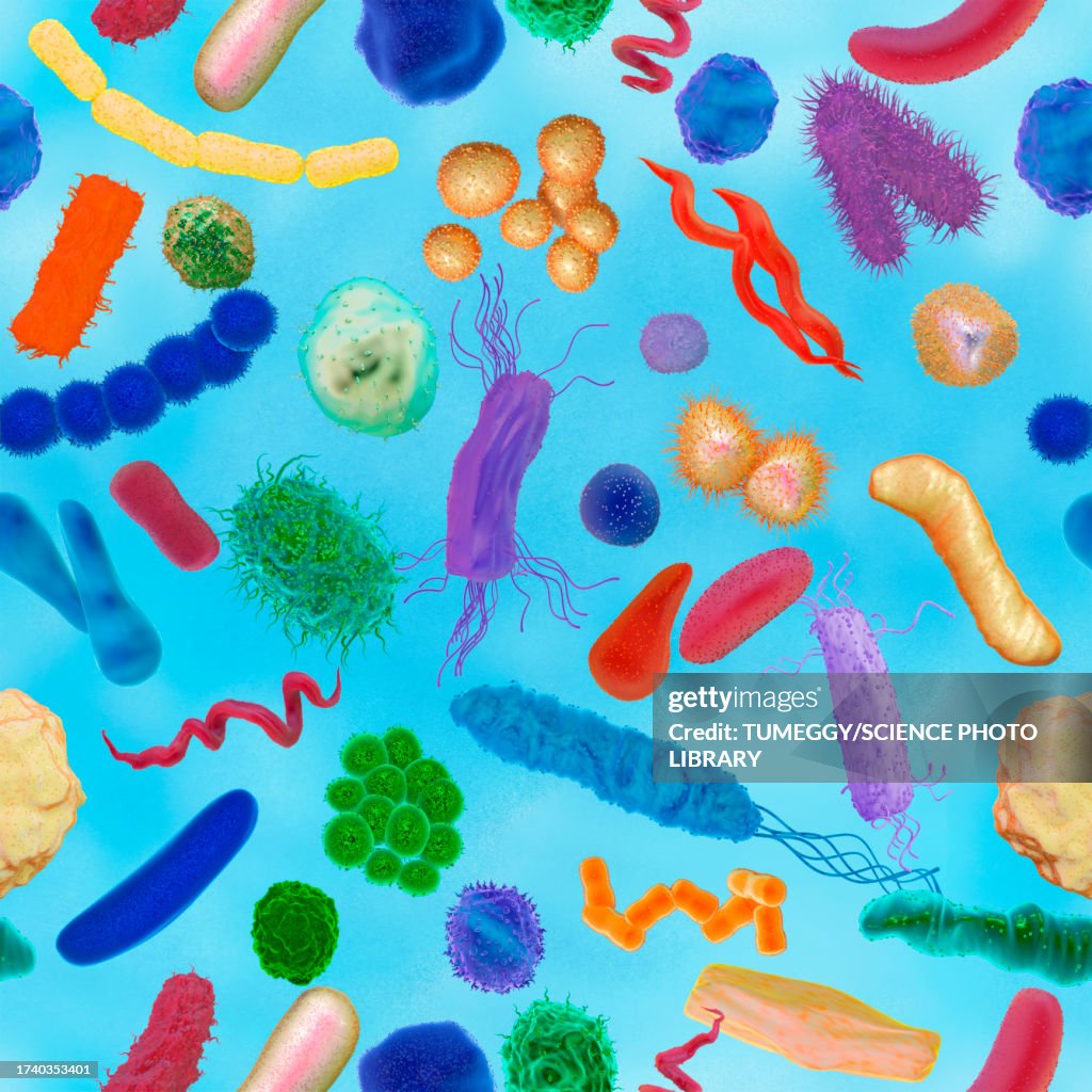 Various bacteria, illustration