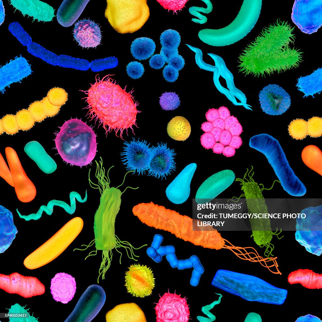 Various bacteria, illustration