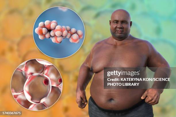 ilustraciones, imágenes clip art, dibujos animados e iconos de stock de overweight man with adipocytes, illustration - tejido adiposo