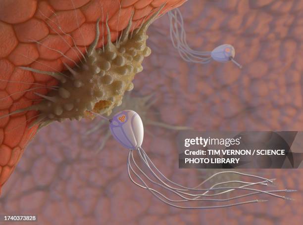 illustrations, cliparts, dessins animés et icônes de medical nanobots destroying cancer, illustration - nanotechnologie