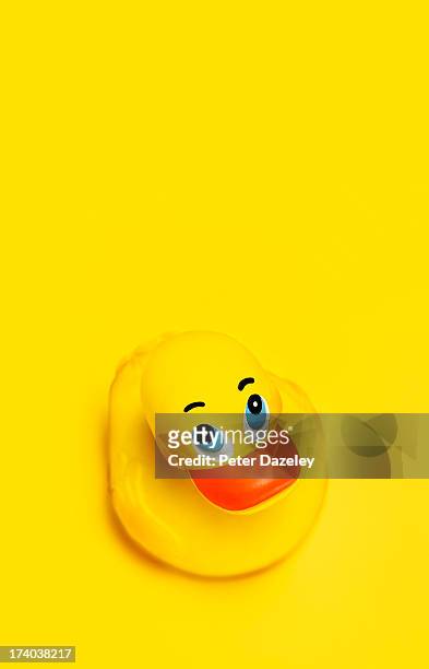 605 Funny Rubber Ducks Photos and Premium High Res Pictures - Getty Images