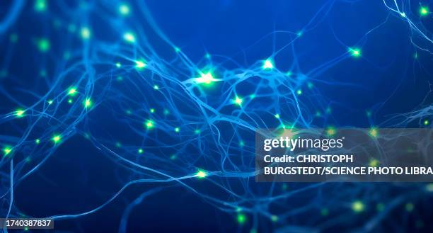 neuronal network, conceptual illustration - synapse stock-grafiken, -clipart, -cartoons und -symbole