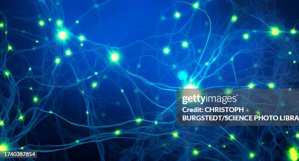 neuronal network, conceptual illustration - nervenzelle stock-grafiken, -clipart, -cartoons und -symbole
