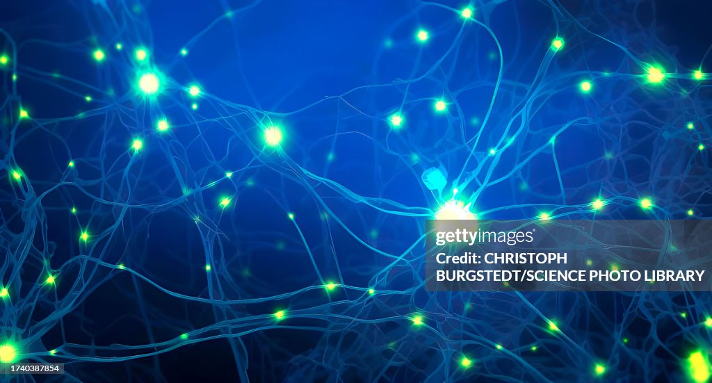 Neuronal network, conceptual illustration