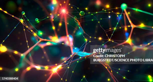 ilustrações de stock, clip art, desenhos animados e ícones de neuronal network, conceptual illustration - célula nervosa
