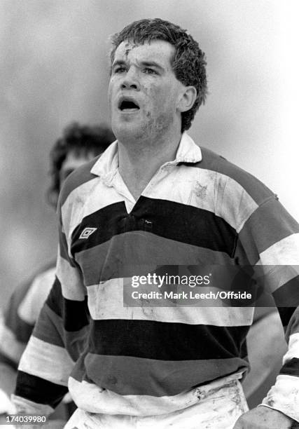 Peter Butler Rugby 69 Pontypool Rugby Union Stock Photos, High-Res Pictures, and Images ...