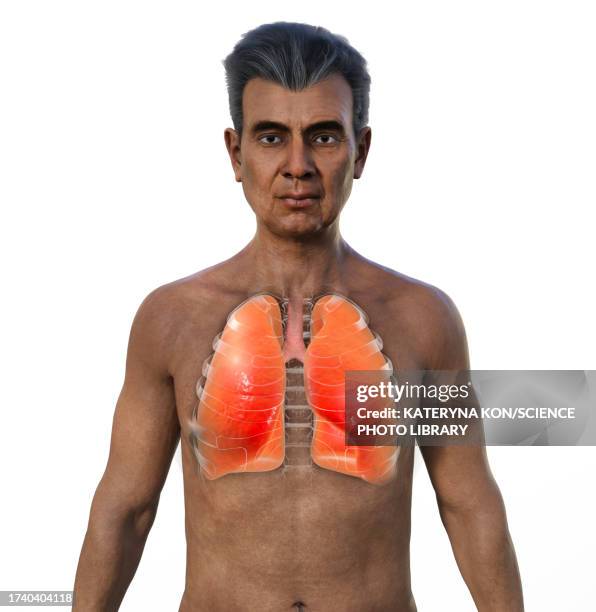 healthy lungs, illustration - man 50 white background stock illustrations