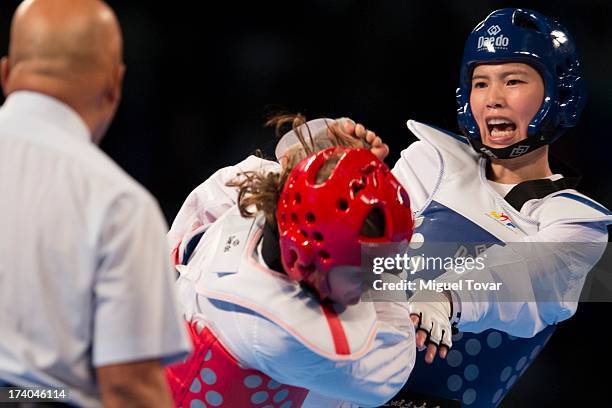 In-Jong Lee of Korea competes with Casandra Ikonen of Sweden during the women«s -73 kg semifinal combat of WTF World Taekwondo Championships 2013 at...