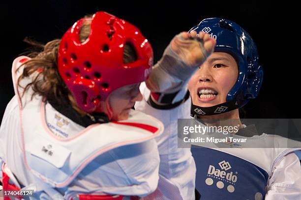 In-Jong Lee of Korea competes with Casandra Ikonen of Sweden during the women«s -73 kg semifinal combat of WTF World Taekwondo Championships 2013 at...