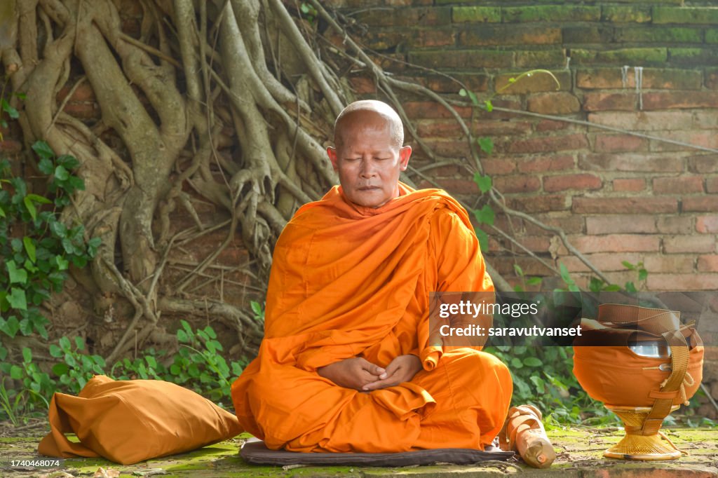 Buddhist monk in a traditional orange robe (kasaya) sitting in a garden meditating, Thailand