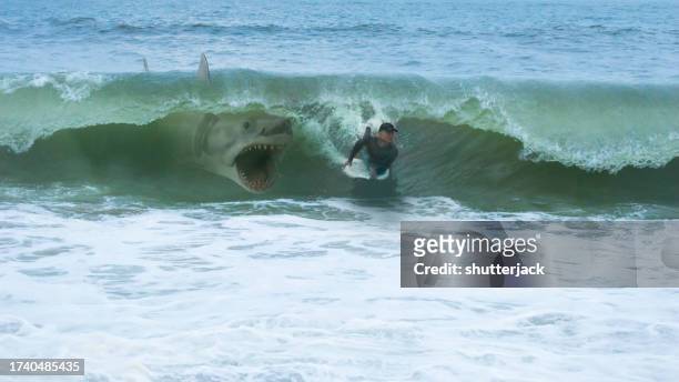 great white shark about to attack a man on a bodyboard - shark attack stock pictures, royalty-free photos & images