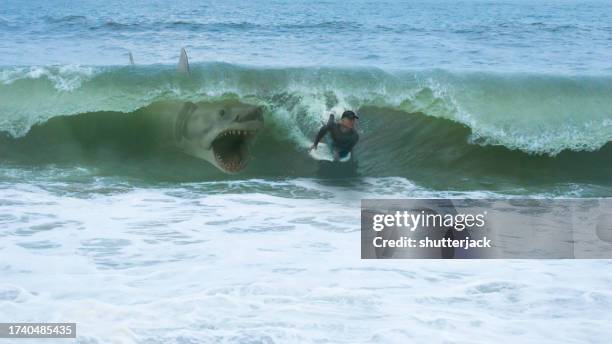 great white shark about to attack a man on a bodyboard - attackerande djur bildbanksfoton och bilder